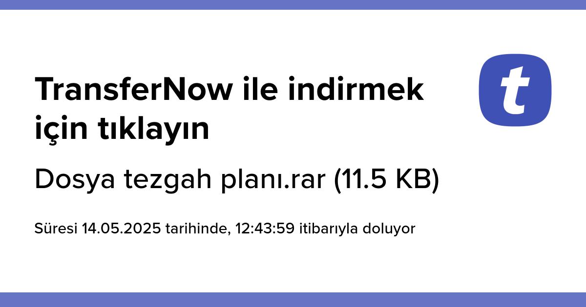 www.transfernow.net